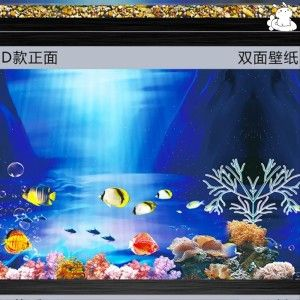 虎魚魚缸背景圖：虎魚魚缸背景圖的設計和選擇