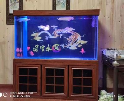 jeneca魚缸過濾器怎么不抽水：jeneca魚缸過濾器不抽水的原因及解決方法