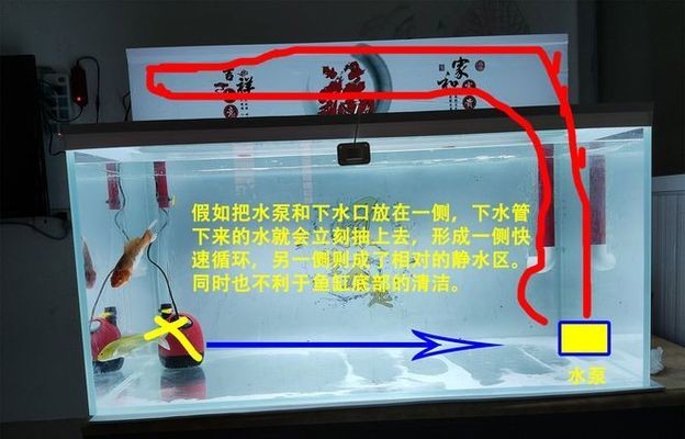 創寧水泵售后服務電話地址在哪里查詢（創寧水泵售后服務電話地址在哪里查詢啊）