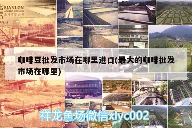 咖啡豆批發(fā)市場(chǎng)在哪里進(jìn)口(最大的咖啡批發(fā)市場(chǎng)在哪里)