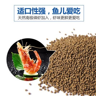 十公分虎魚喂什么飼料好