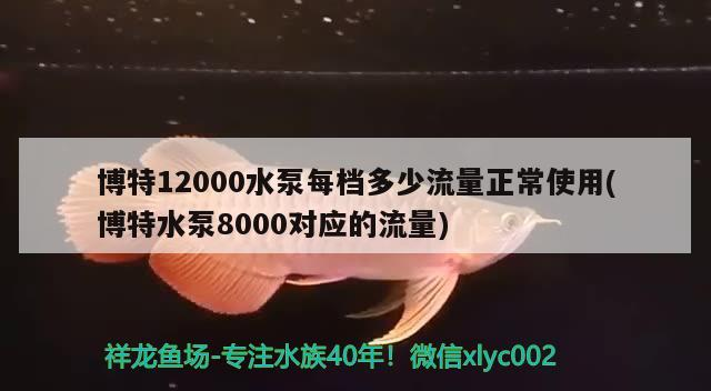 博特12000水泵每檔多少流量正常使用(博特水泵8000對應的流量) 博特12000水泵每檔多少流量正常使用(博特水泵8000對應的流量) 博特水族