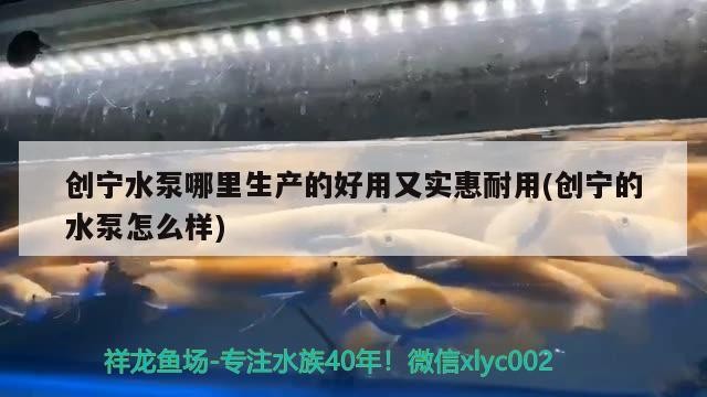創寧水泵哪里生產的好用又實惠耐用(創寧的水泵怎么樣)