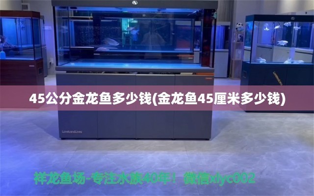 過背金龍魚（過背金龍魚價格）