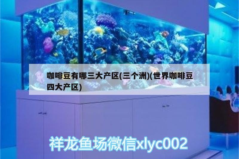 咖啡豆有哪三大產區(三個洲)(世界咖啡豆四大產區)