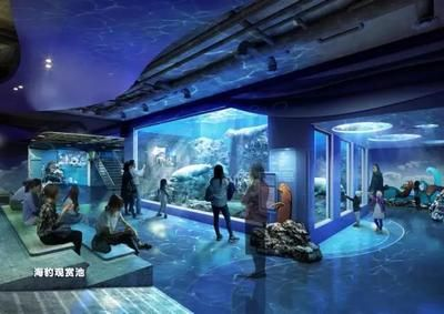 安陽水族館vs祥龍魚場（安陽水族館和祥龍魚場哪個好）