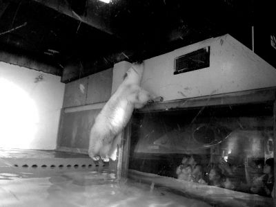 梅州水族館vs祥龍魚場（梅州哪里有水族館？）