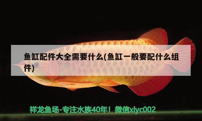 魚缸配件大全需要什么(魚缸一般要配什么組件)