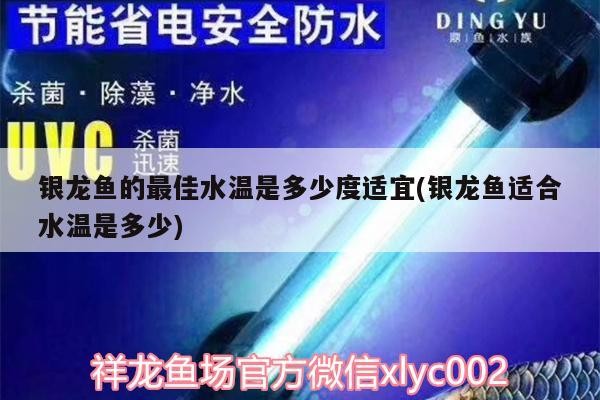 魚缸 銀龍魚的最佳水溫是多少度適宜(銀龍魚適合水溫是多少) 銀龍魚百科 銀龍魚的最佳水溫是多少度適宜(銀龍魚適合水溫是多少) 銀龍魚的最佳水溫是多少度適宜(銀龍魚適合水溫是多少) 銀龍魚百科
