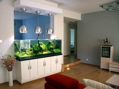 fishtank魚缸咖啡（fishtank魚缸咖啡店南京品牌文化）