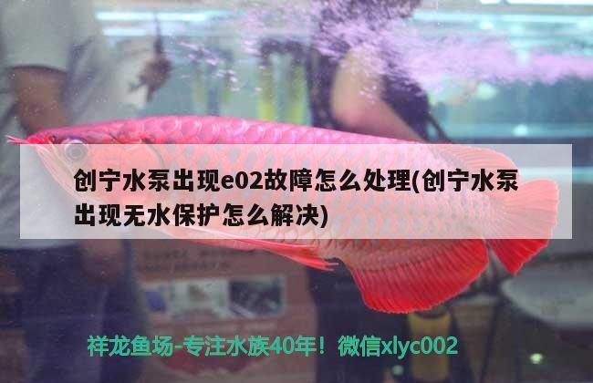 創寧水泵出現e02故障怎么處理(創寧水泵出現無水保護怎么解決)