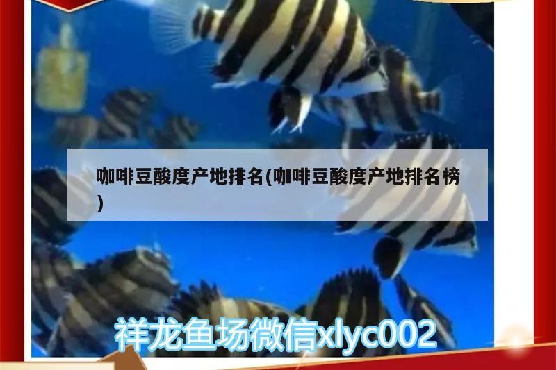 咖啡豆酸度產地排名(咖啡豆酸度產地排名榜)
