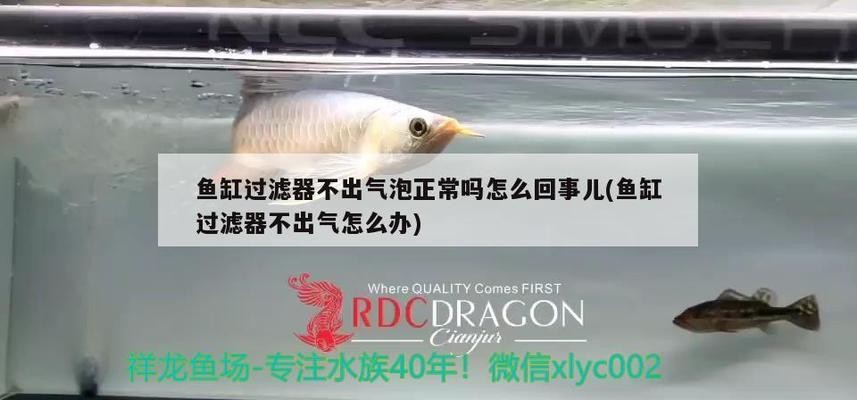 水泵森森的好還是創(chuàng)寧的好（森森水泵和創(chuàng)寧水泵哪個(gè)好）