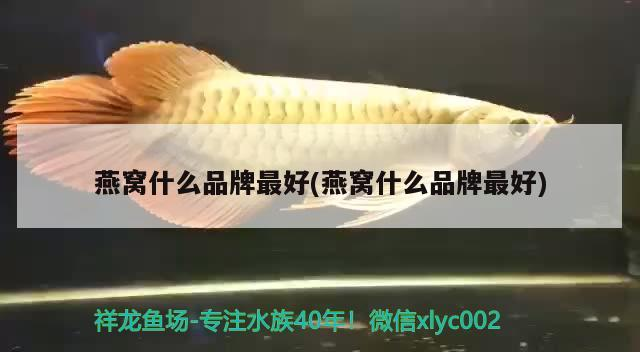 可麗愛魚缸型號與價格(1.8米長)(可麗愛魚缸最便宜的多少錢) 可麗愛魚缸型號與價格(1.8米長)(可麗愛魚缸最便宜的多少錢) 魟魚百科