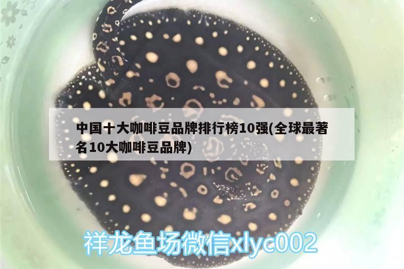 中國十大咖啡豆品牌排行榜10強(全球最著名10大咖啡豆品牌)