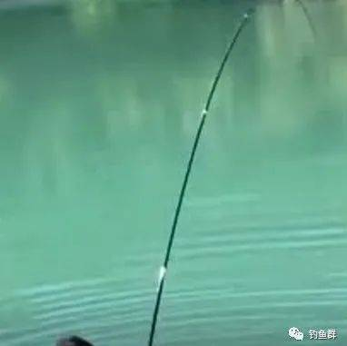 博特拉大學(xué)全球排名（博特拉在中國只能算二本）