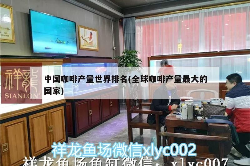 中國咖啡產(chǎn)量世界排名(全球咖啡產(chǎn)量最大的國家)