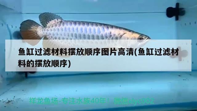 魚缸過濾材料擺放順序圖片高清(魚缸過濾材料的擺放順序)
