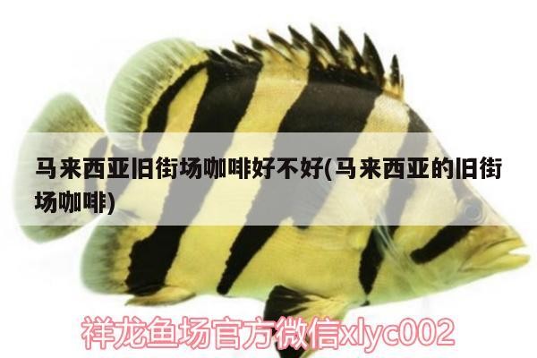 馬來西亞舊街場咖啡好不好(馬來西亞的舊街場咖啡)