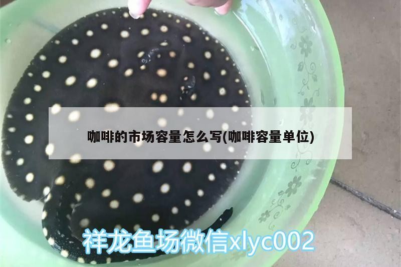咖啡的市場容量怎么寫(咖啡容量單位)