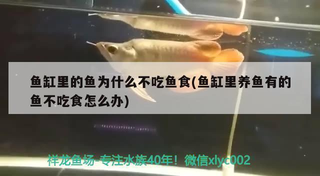 博特魚缸哪里生產的啊好用（博特魚缸哪里生產的啊好用啊）