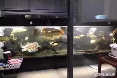 1.2米的魚缸價格：1.2米魚缸價格信息：1.2米魚缸市場價格信息