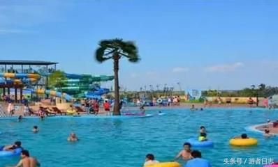 定西水族館vs祥龍魚場（定西水族館和祥龍魚場哪個好）
