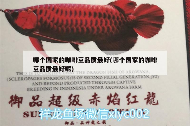 哪個國家的咖啡豆品質最好(哪個國家的咖啡豆品質最好呢)
