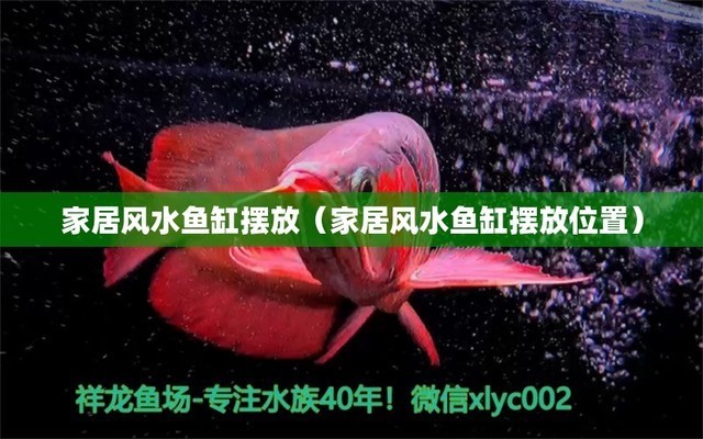 青島魚缸生產廠家電話多少啊