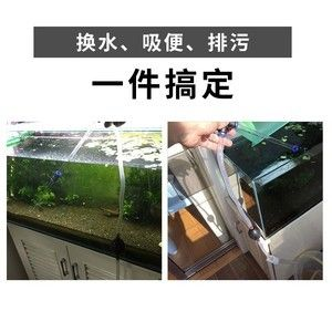 徹底清洗魚(yú)缸重新開(kāi)缸要多久才能好：如何清洗魚(yú)缸并重新開(kāi)缸