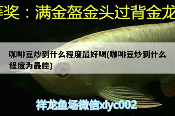 咖啡豆炒到什么程度最好喝(咖啡豆炒到什么程度為最佳)