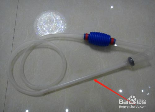 金龍魚換水最佳時機：金魚換水的最佳時機