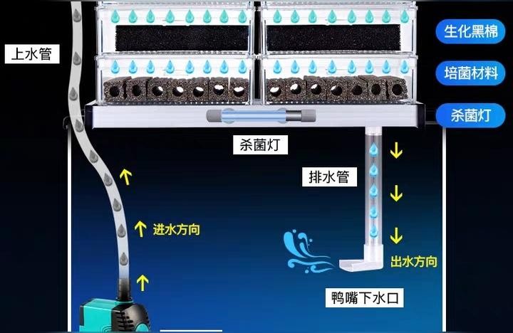 博特水泵:博特變頻水泵出水口怎么接硬管