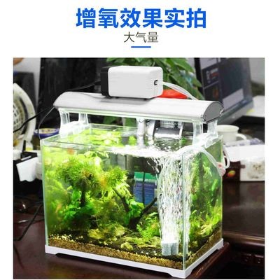 不用增氧泵怎么給魚缸增氧：如何提高魚缸中的溶氧量
