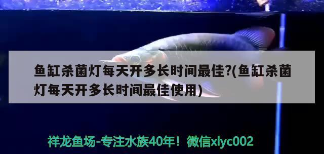 魚缸殺菌燈每天開多長時間最佳?(魚缸殺菌燈每天開多長時間最佳使用)