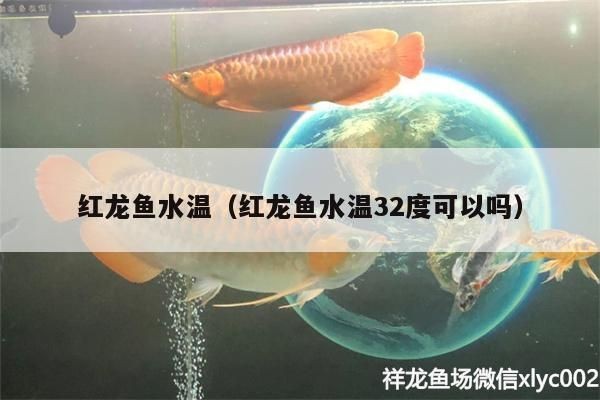 紅龍魚溫度到32度可以刺激吃食嗎：紅龍魚水溫32度不能刺激吃食，紅龍魚食欲不振、精神萎靡