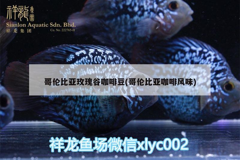 哥倫比亞玫瑰谷咖啡豆(哥倫比亞咖啡風味)