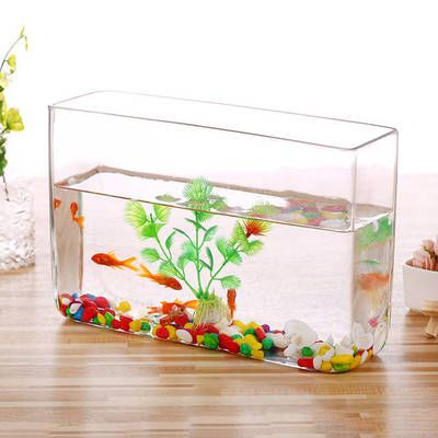 大魚缸改造植物缸好嗎：大魚缸改造植物缸的技巧