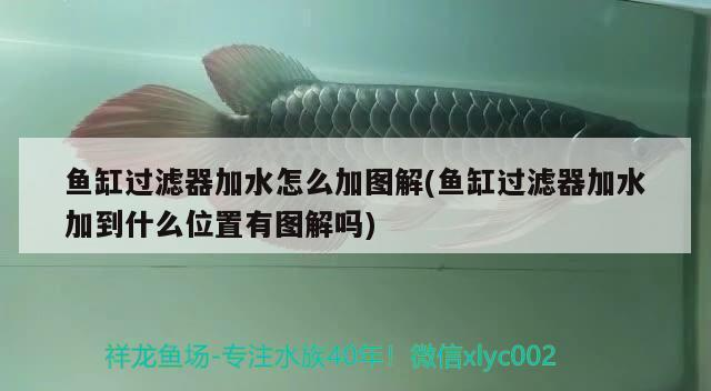 創寧變頻水泵檔位使用（創寧變頻水泵檔位使用方法）
