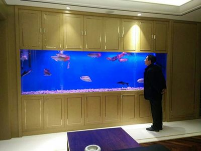 玻璃造型魚缸墻：玻璃造型魚缸墻的制作要點
