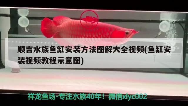 順吉水族魚(yú)缸安裝方法圖解大全視頻(魚(yú)缸安裝視頻教程示意圖)