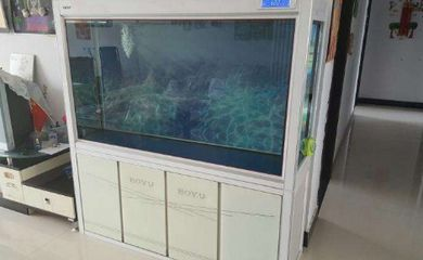 博宇魚缸質量怎么樣：博宇魚缸在產品質量、設計、品牌聲譽和生產能力等方面均表現優秀