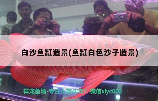 星巴克咖啡豆價格表2020(星巴克咖啡豆價格表與銷量)