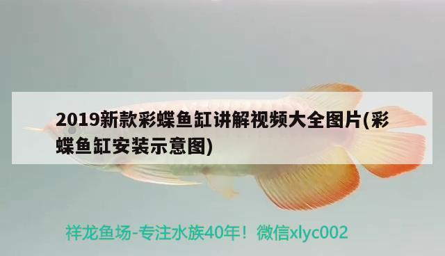 博特水泵咋樣（博特水泵咋樣好用）