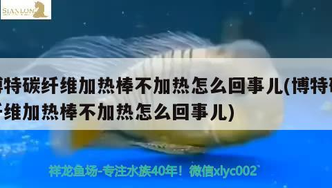 詳細閱讀:博特碳纖維加熱棒不加熱怎么回事兒(博特碳纖維加熱棒不加熱怎么回事兒) 博特碳纖維加熱棒不加熱怎么回事兒(博特碳纖維加熱棒不加熱怎么回事兒)