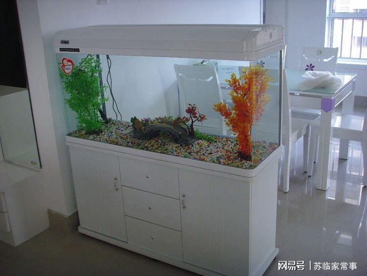 云陽縣新穎水族門市（云陽縣新穎水族門市電話）