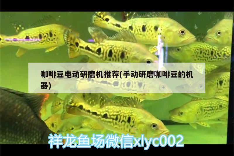 咖啡豆電動(dòng)研磨機(jī)推薦(手動(dòng)研磨咖啡豆的機(jī)器)