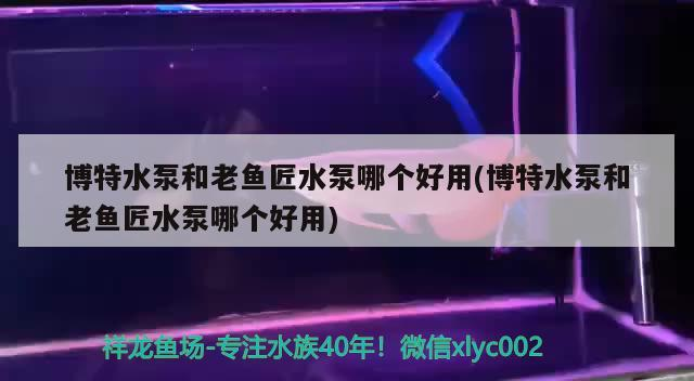 博特水泵和老魚匠水泵哪個好用(博特水泵和老魚匠水泵哪個好用)