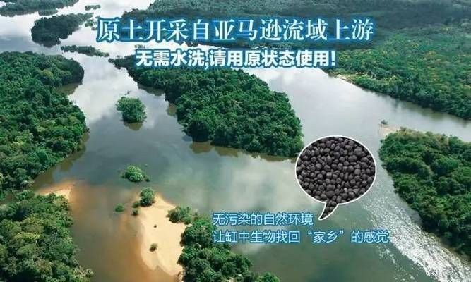 60金魚缸要用多少水草泥？：一個長60cm、寬30cm的金魚缸種植水草泥鋪設(shè)建議