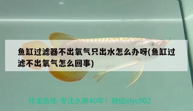 博特水泵調節視頻講解（博特水泵調節視頻講解圖）